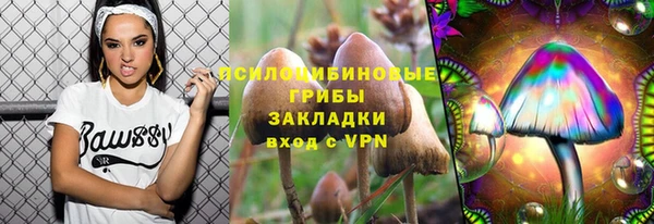 трава Абдулино