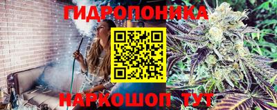 прущая мука Гусиноозёрск