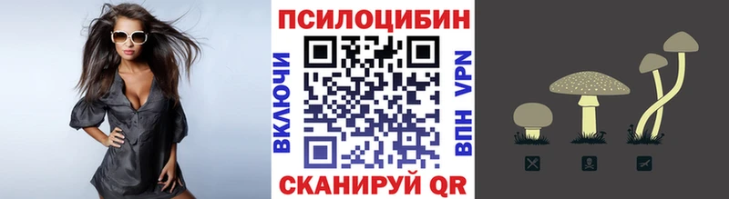 где можно купить   Зеленогорск  Галлюциногенные грибы Magic Shrooms 