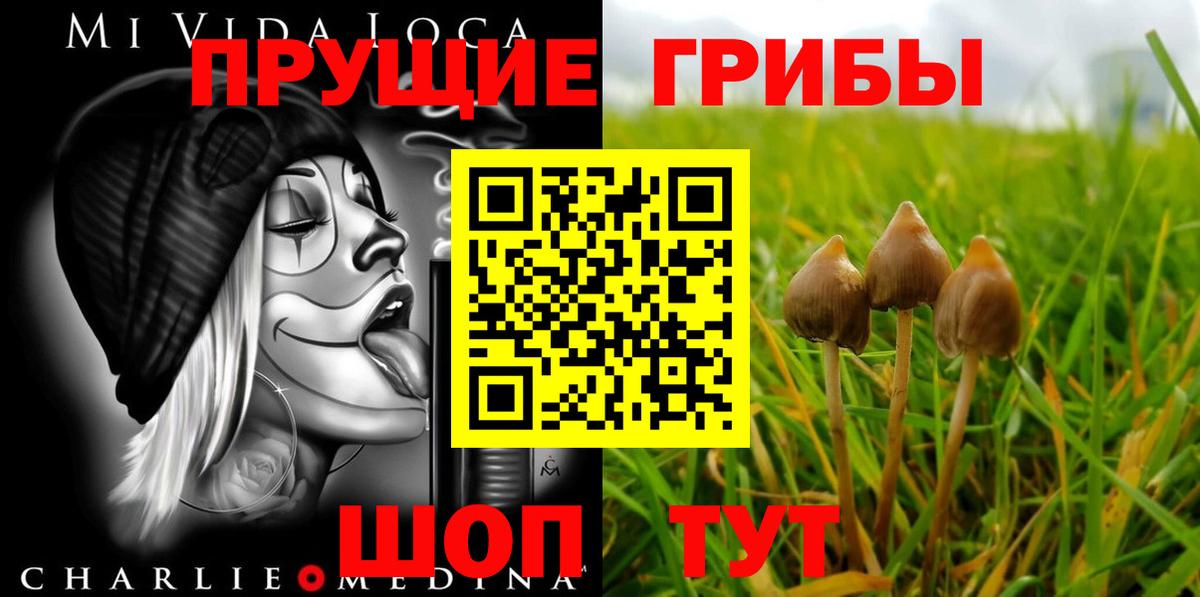 Псилоцибиновые грибы Magic Shrooms  Галлюциногенные грибы MAGIC MUSHROOMS  Вход с VPN  Зеленогорск 