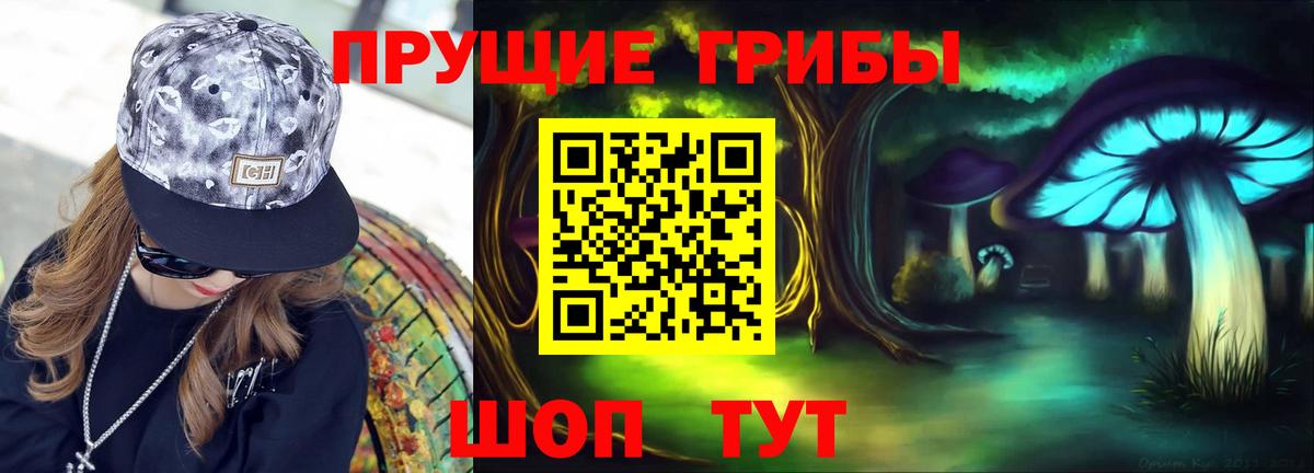 Псилоцибиновые грибы GOLDEN TEACHER Зеленогорск